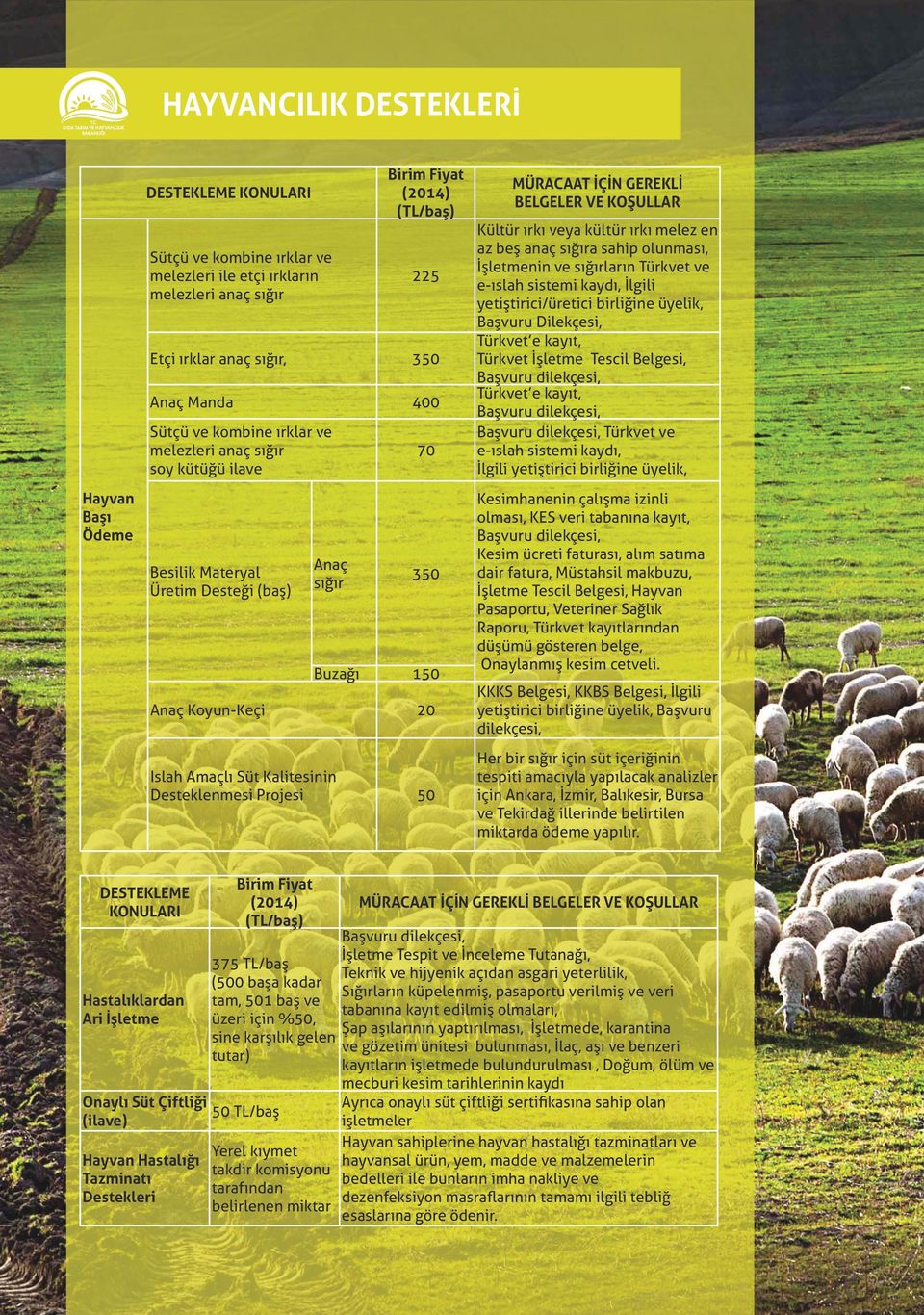 Desteklenmesi Projesi 50 MÜRACAAT İÇİN GEREKLİ BELGELER VE KOŞULLAR Kültür ırkı veya kültür ırkı melez en az beş anaç sığıra sahip olunması, İşletmenin ve sığırların Türkvet ve e-ıslah sistemi kaydı,