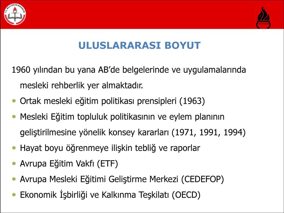 geliştirilmesine yönelik konsey kararları (1971, 1991, 1994) Hayat boyu öğrenmeye ilişkin tebliğ ve raporlar