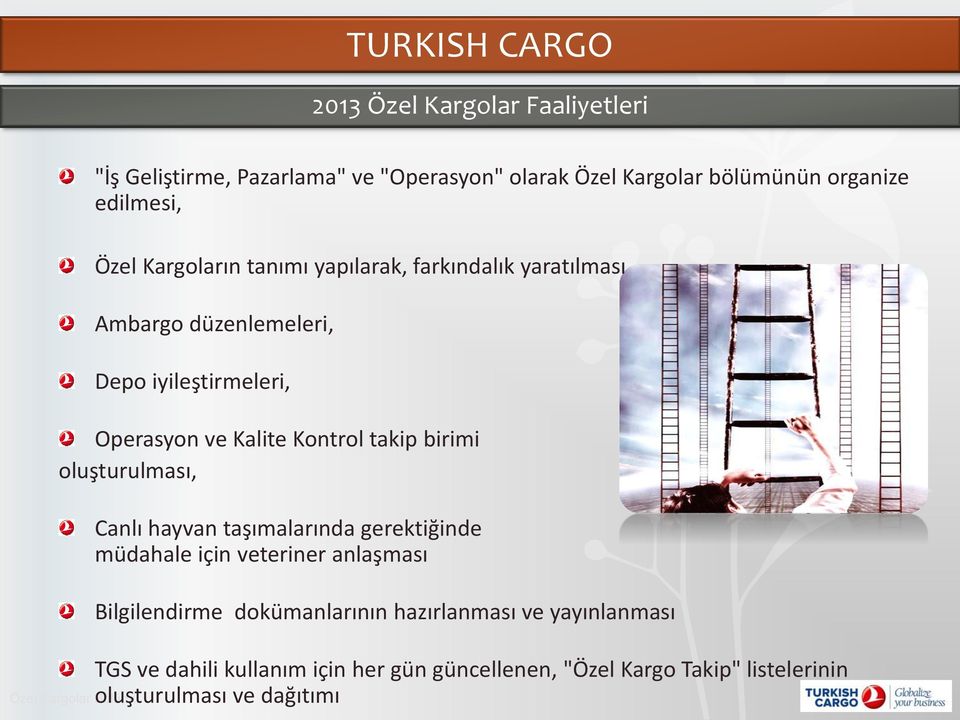 birimi oluşturulması, Canlı hayvan taşımalarında gerektiğinde müdahale için veteriner anlaşması Bilgilendirme dokümanlarının hazırlanması