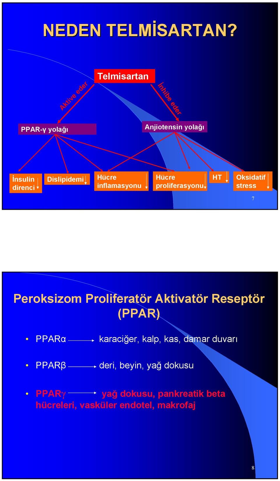 Dislipidemi Hücre inflamasyonu Hücre proliferasyonu HT Oksidatif stress 7 Peroksizom