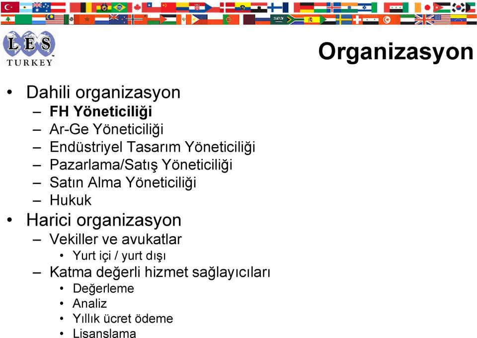 Yöneticiliği Hukuk Harici organizasyon Vekiller ve avukatlar Yurt içi /