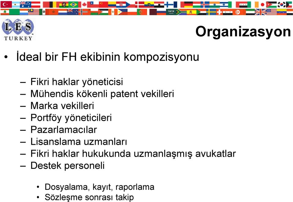 Pazarlamacılar Lisanslama uzmanları Fikri haklar hukukunda uzmanlaşmış