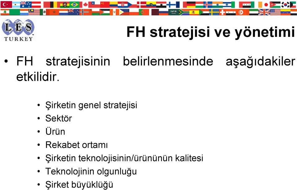 Şirketin genel stratejisi Sektör Ürün Rekabet ortamı