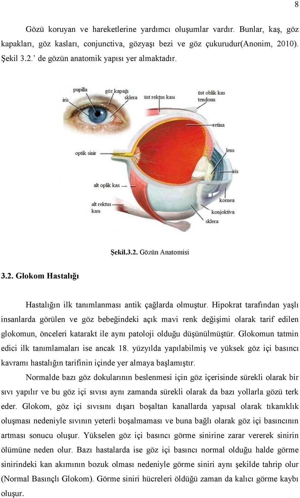 Hpokrat tarafından yaşlı nsanlarda görülen ve göz bebeğndek açık mav renk değşm olarak tarf edlen glokomun, önceler katarakt le aynı patoloj olduğu düşünülmüştür.