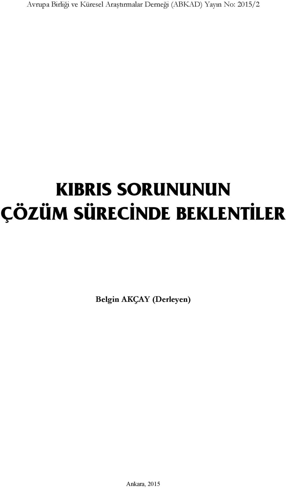 KIBRIS SORUNUNUN ÇÖZÜM SÜRECİNDE