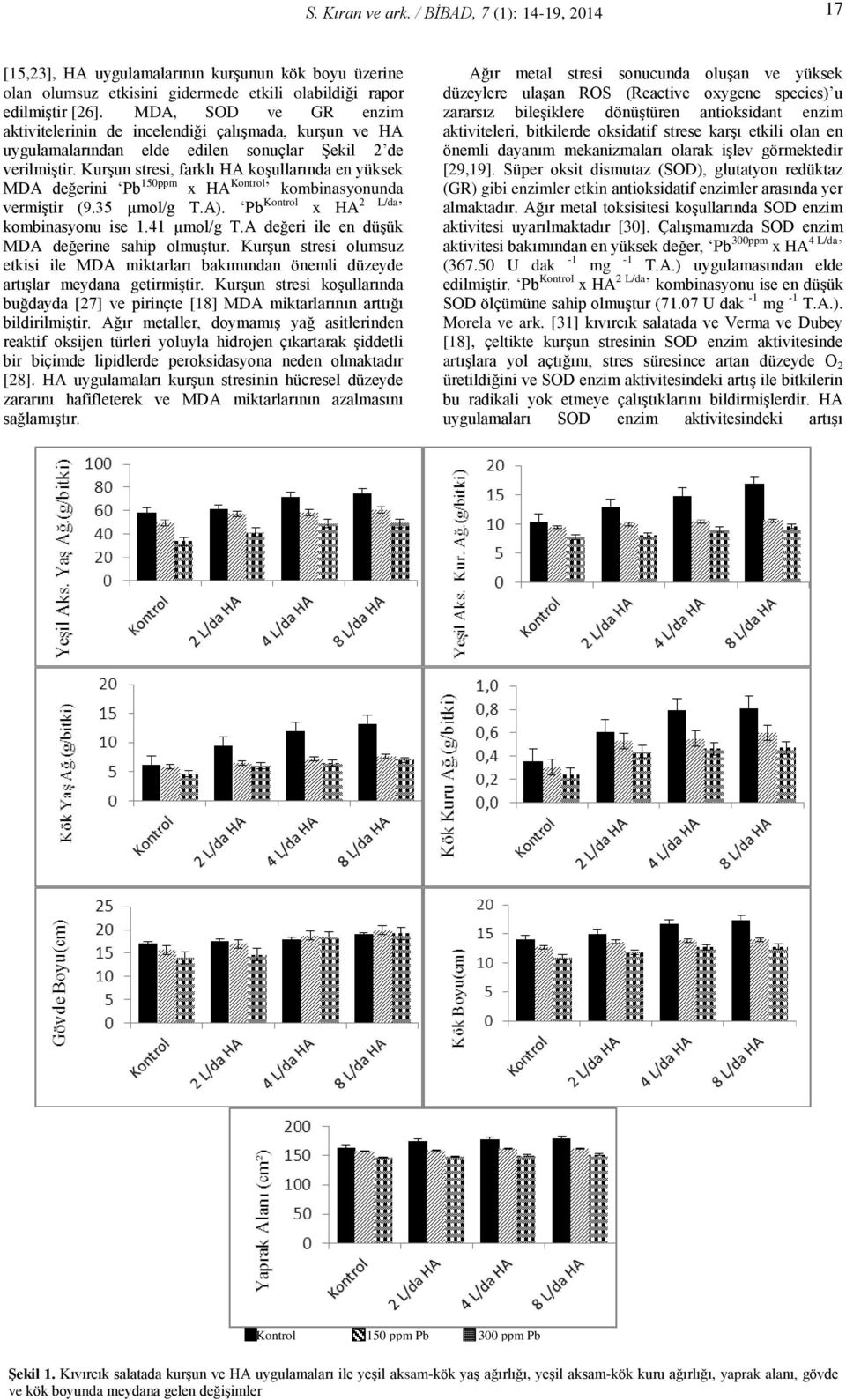 Kurşun stresi, farklı HA koşullarında en yüksek MDA değerini Pb 150ppm x HA Kontrol kombinasyonunda vermiştir (9.35 µmol/g T.A). Pb Kontrol x HA 2 L/da kombinasyonu ise 1.41 µmol/g T.