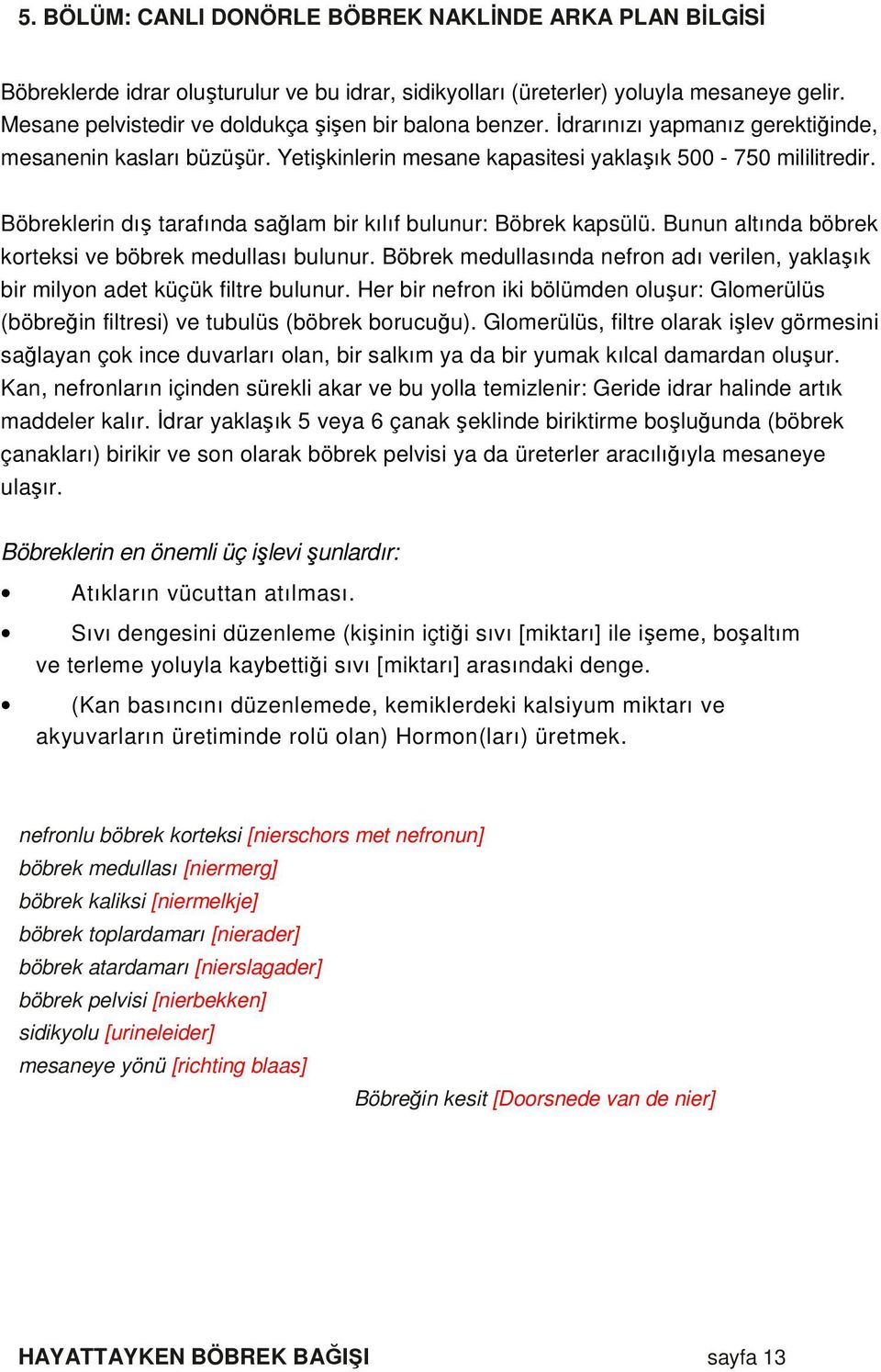 Böbreklerin dış tarafında sağlam bir kılıf bulunur: Böbrek kapsülü. Bunun altında böbrek korteksi ve böbrek medullası bulunur.