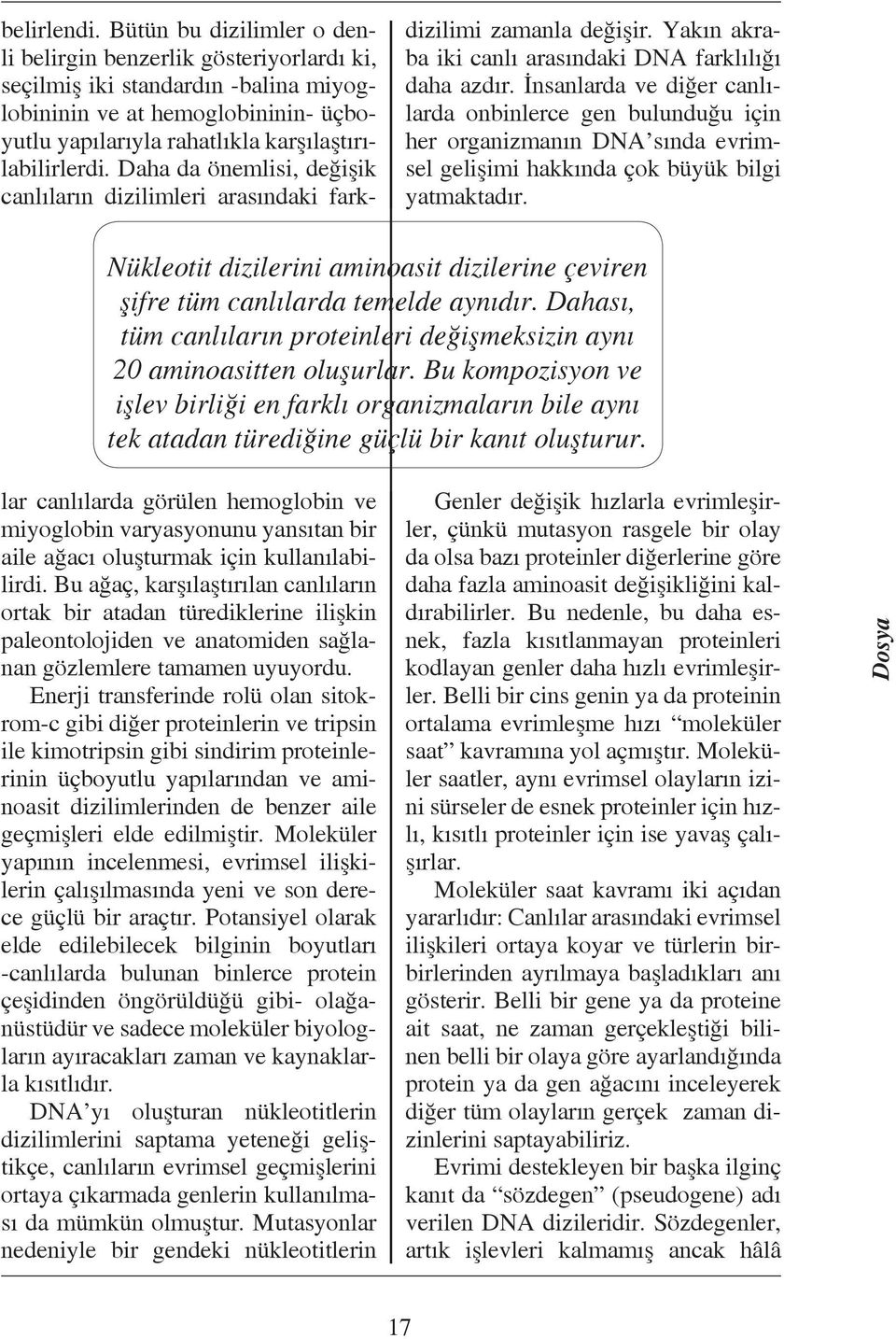 Nükleotit dizilerini aminoasit dizilerine çeviren şifre tüm canlılarda temelde aynıdır. Dahası, tüm canlıların proteinleri değişmeksizin aynı 20 aminoasitten oluşurlar.