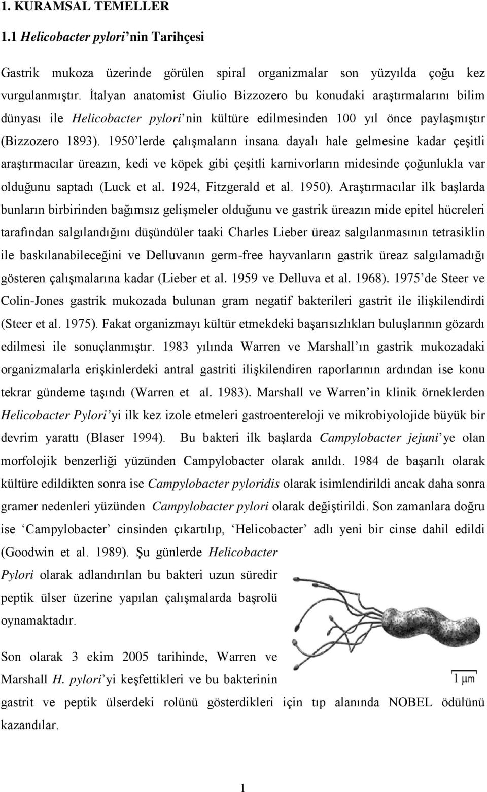 1950 lerde çalışmaların insana dayalı hale gelmesine kadar çeşitli araştırmacılar üreazın, kedi ve köpek gibi çeşitli karnivorların midesinde çoğunlukla var olduğunu saptadı (Luck et al.