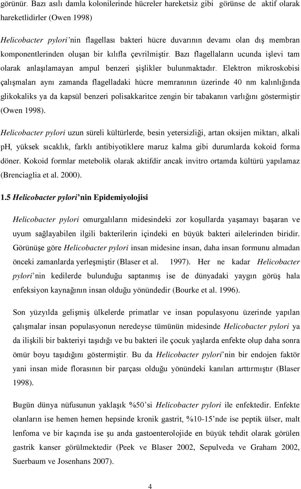 komponentlerinden oluşan bir kılıfla çevrilmiştir. Bazı flagellaların ucunda işlevi tam olarak anlaşılamayan ampul benzeri şişlikler bulunmaktadır.