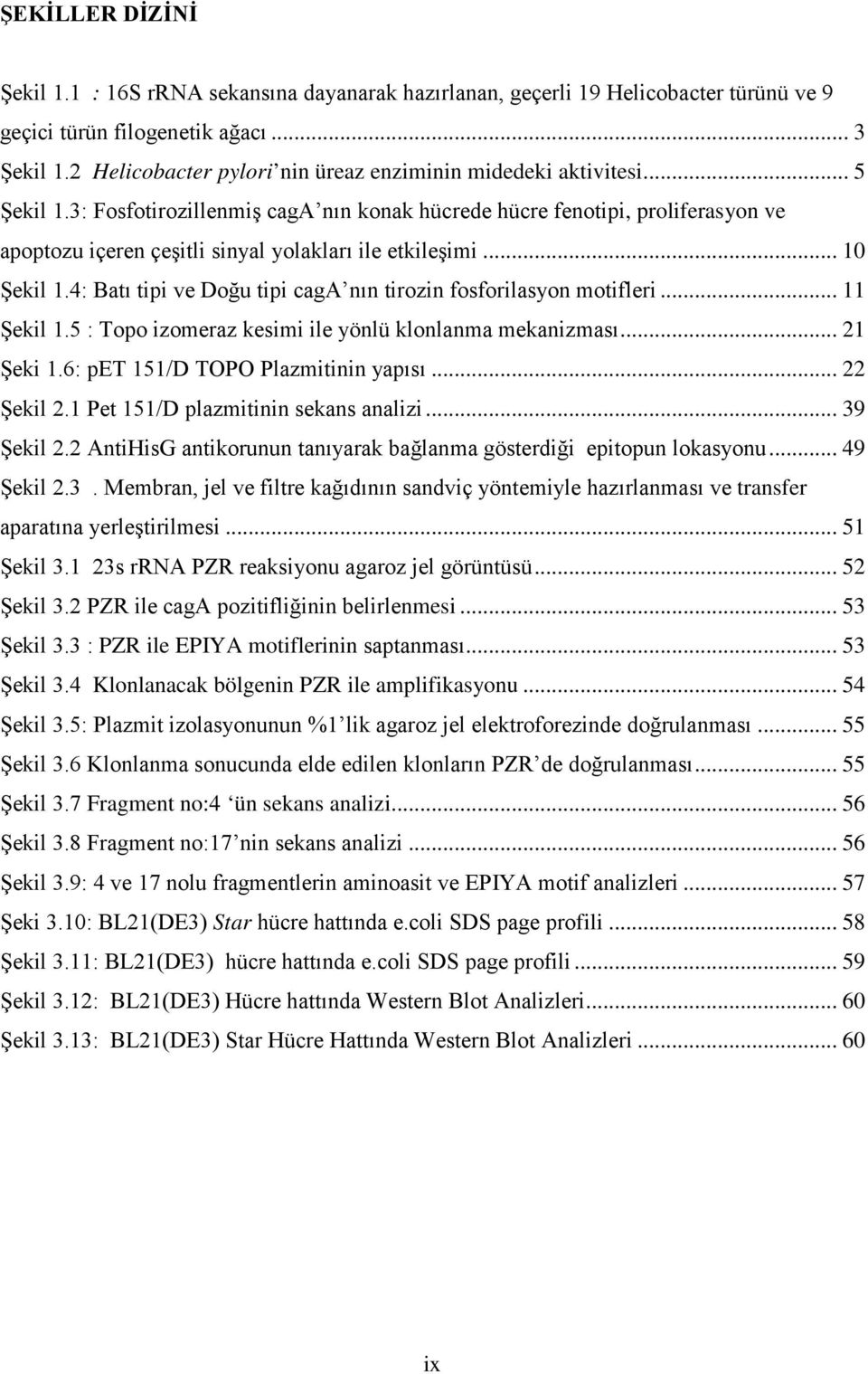 3: Fosfotirozillenmiş caga nın konak hücrede hücre fenotipi, proliferasyon ve apoptozu içeren çeşitli sinyal yolakları ile etkileşimi... 10 Şekil 1.