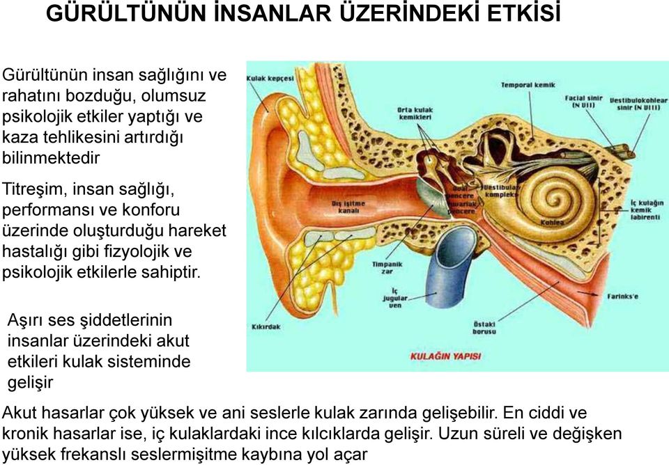 etkilerle sahiptir.