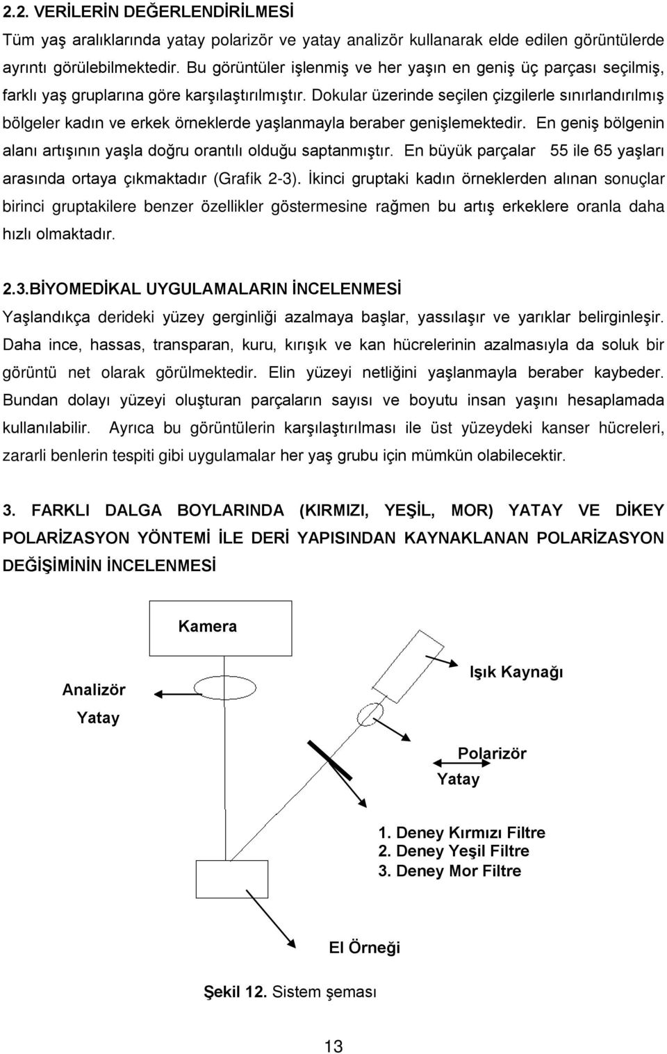 Dokular üzerinde seçilen çizgilerle sınırlandırılmış bölgeler kadın ve erkek örneklerde yaşlanmayla beraber genişlemektedir. En geniş bölgenin alanı artışının yaşla doğru orantılı olduğu saptanmıştır.