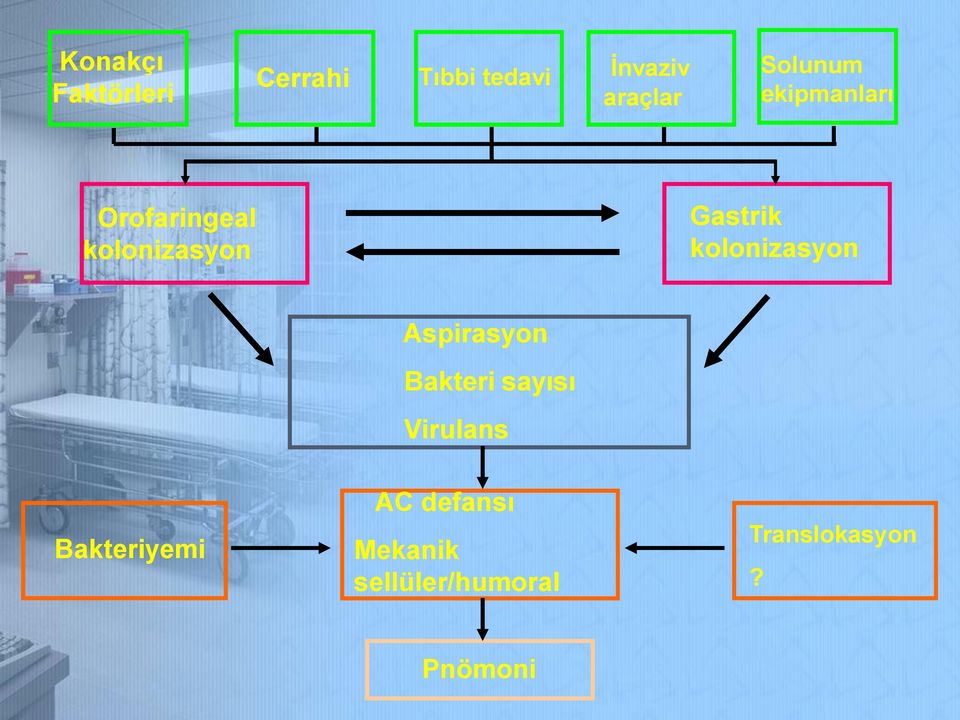 kolonizasyon Aspirasyon Bakteri sayısı Virulans