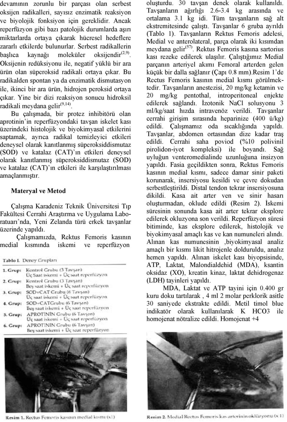 Oksijenin redüksiyonu ile, negatif yüklü bir ara ürün olan süperoksid radikali ortaya çıkar. Bu radikalden spontan ya da enzimatik dismutasyon ile, ikinci bir ara ürün, hidrojen peroksid ortaya çıkar.