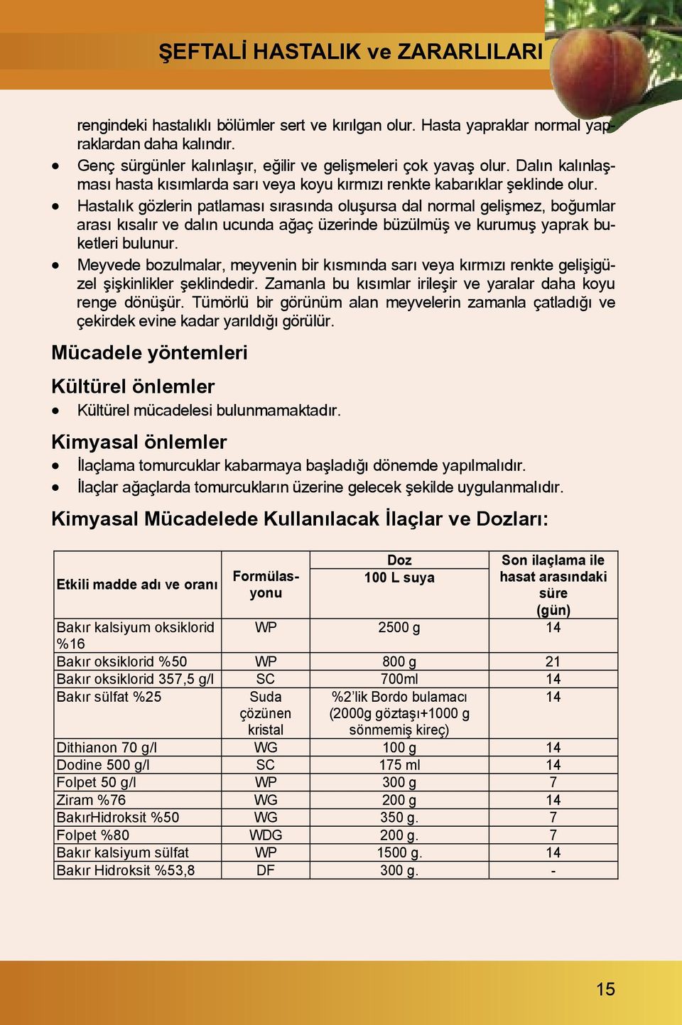 Hastalõk gözlerin patlamasõ sõrasõnda olu ursa dal normal geli mez, bo umlar arasõ kõsalõr ve dalõn ucunda a aç üzerinde büzülmü ve kurumu yaprak buketleri bulunur.