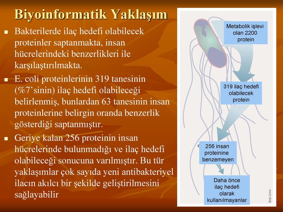 saptanmıştır. Geriye kalan 256 proteinin insan hücrelerinde bulunmadığı ve ilaç hedefi olabileceği sonucuna varılmıştır.