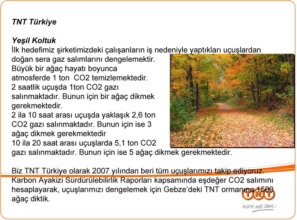 2 ila 10 saat arası uçuşda yaklaşık 2,6 ton CO2 gazı salınmaktadır. Bunun için ise 3 ağaç dikmek gerekmektedir 10 ila 20 saat arası uçuşlarda 5,1 ton CO2 gazı salınmaktadır.