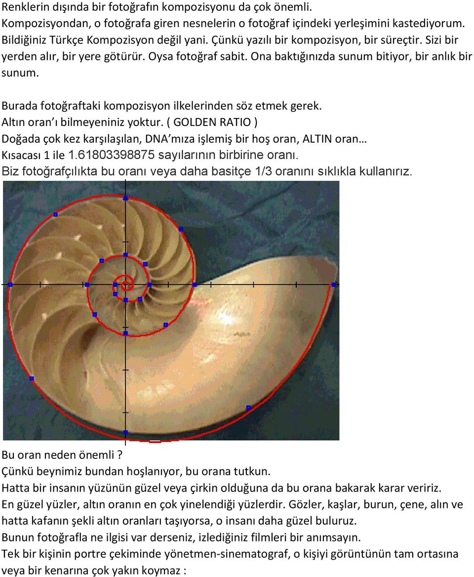 Burada fotoğraftaki kompozisyon ilkelerinden söz etmek gerek. Altın oran ı bilmeyeniniz yoktur.