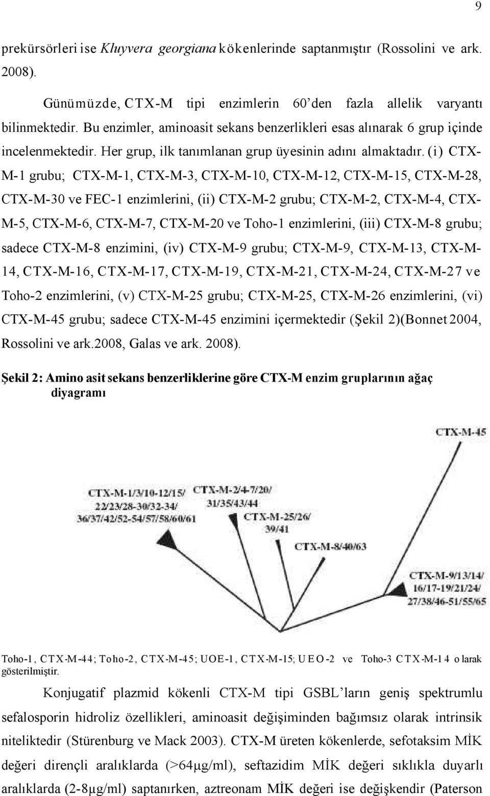 (i) CTXM- grubu; CTX-M-, CTX-M-3, CTX-M-, CTX-M-2, CTX-M-5, CTX-M-28, CTX-M-3 ve FEC- enzimlerini, (ii) CTX-M-2 grubu; CTX-M-2, CTX-M-4, CTXM-5, CTX-M-6, CTX-M-7, CTX-M-2 ve Toho- enzimlerini, (iii)
