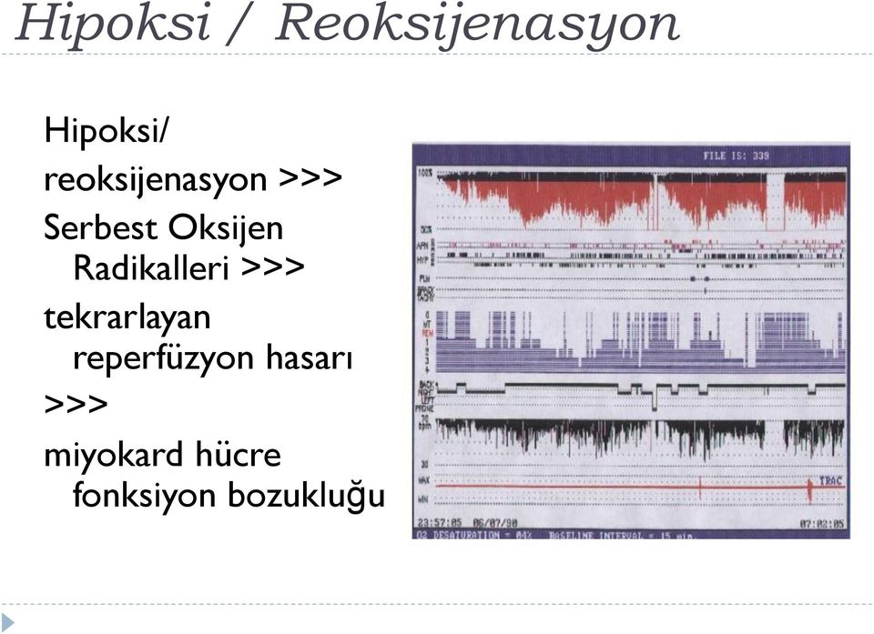 Radikalleri >>> tekrarlayan