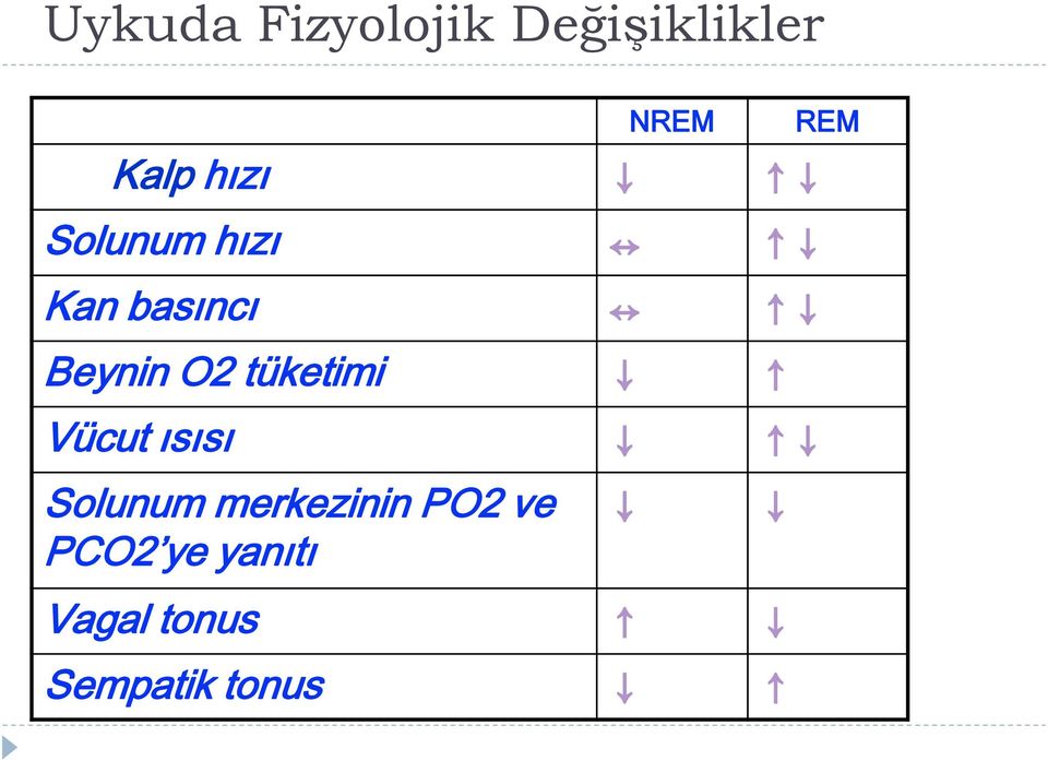 O2 tüketimi Vücut ısısı Solunum merkezinin