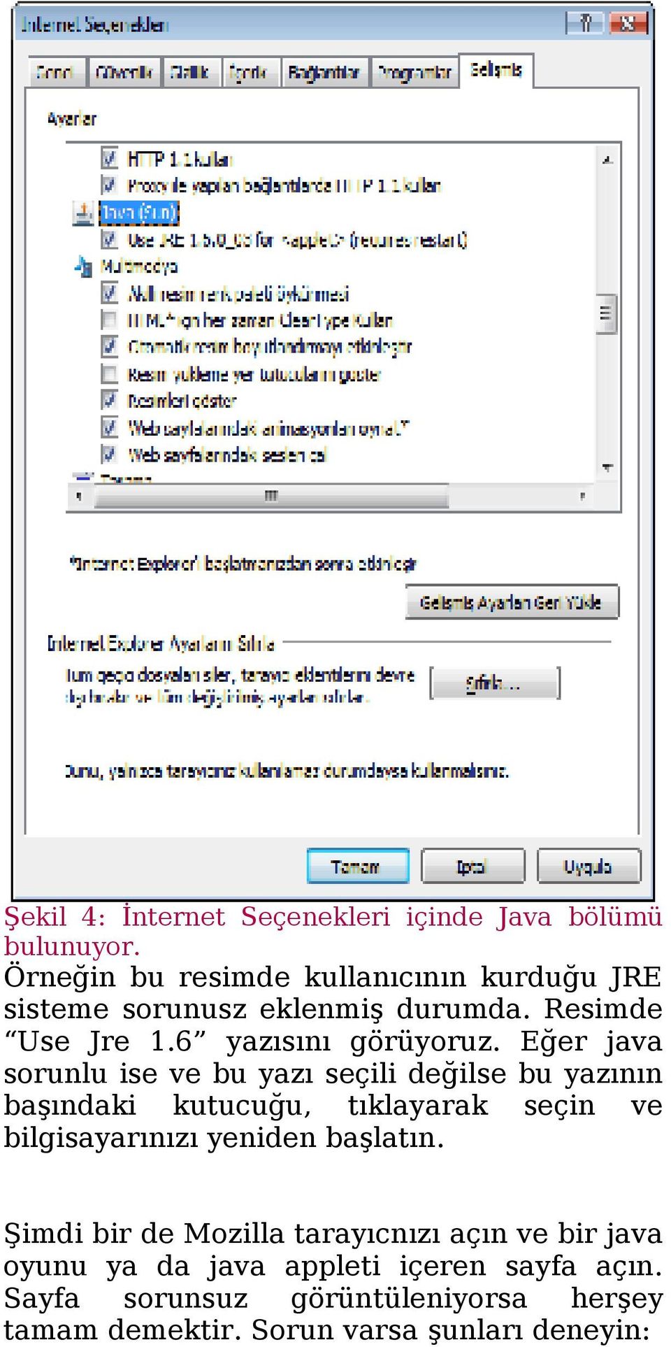 Eğer java sorunlu ise ve bu yazı seçili değilse bu yazının başındaki kutucuğu, tıklayarak seçin ve bilgisayarınızı yeniden