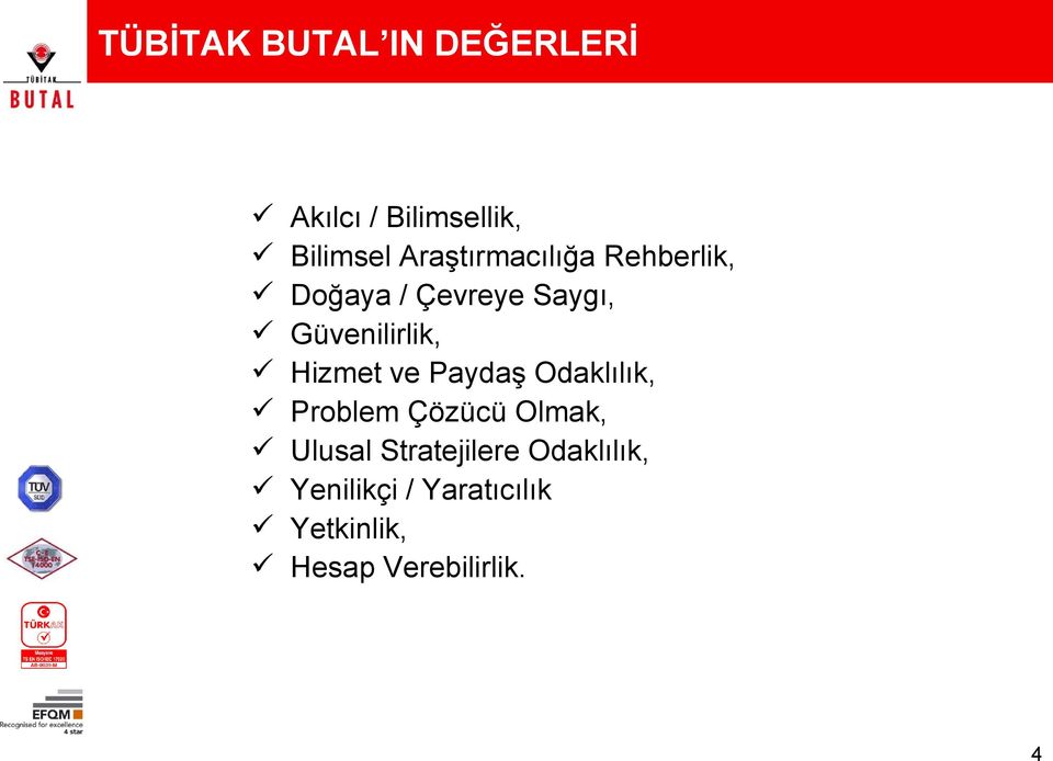 Hizmet ve Paydaş Odaklılık, Problem Çözücü Olmak, Ulusal