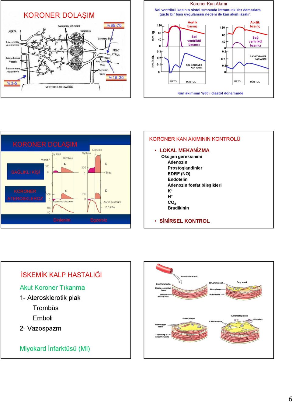 1 0 SİSTOL SOL KORONER KAN AKIMI DİASTOL 0.2 0.