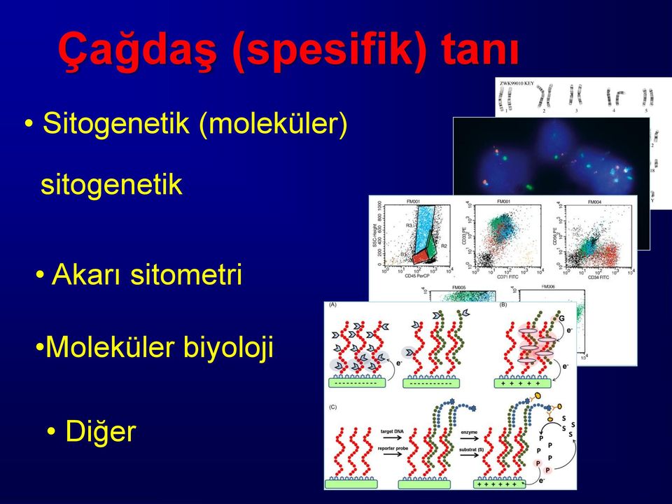 sitogenetik Akarı