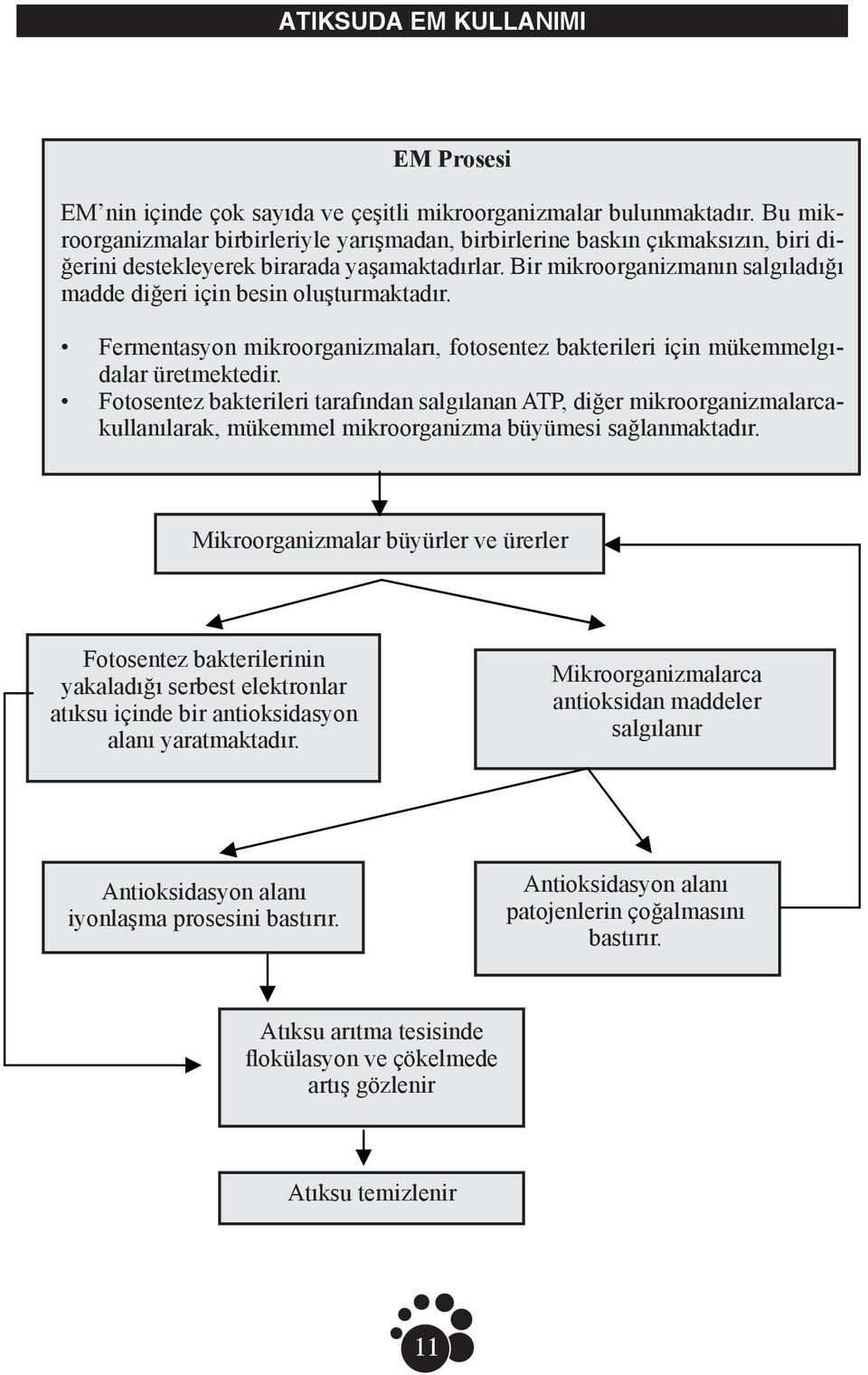 Bir mikroorganizmanın salgıladığı madde diğeri için besin oluşturmaktadır. Fermentasyon mikroorganizmaları, fotosentez bakterileri için mükemmelgıdalar üretmektedir.