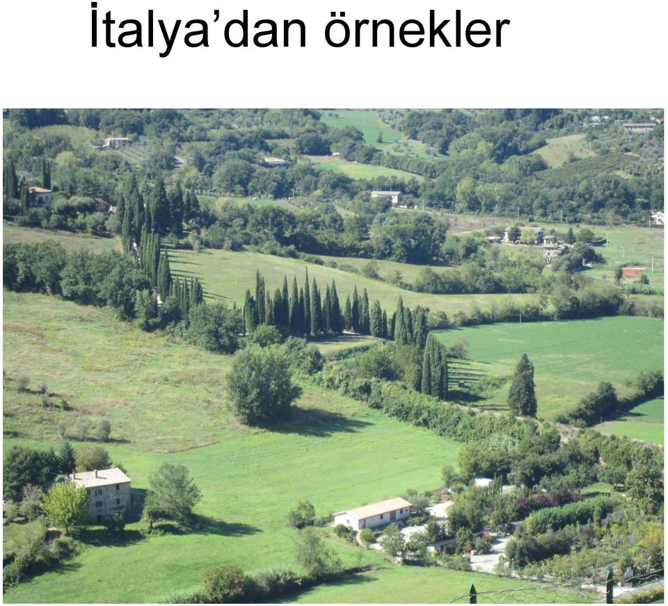 örnekler