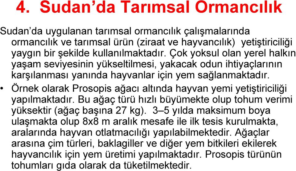 Örnek olarak Prosopis ağacı altında hayvan yemi yetiştiriciliği yapılmaktadır. Bu ağaç türü hızlı büyümekte olup tohum verimi yüksektir (ağaç başına 27 kg).