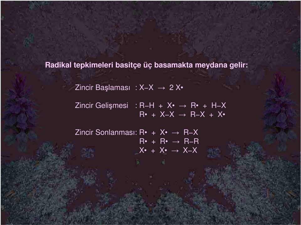 Zincir Gelişmesi : R H + X R + H X R + X X R