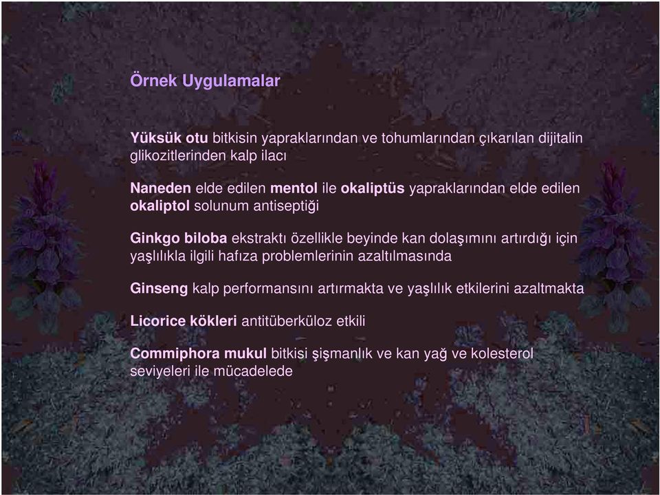 dolaşımını artırdığı için yaşlılıkla ilgili hafıza problemlerinin azaltılmasında Ginseng kalp performansını artırmakta ve yaşlılık