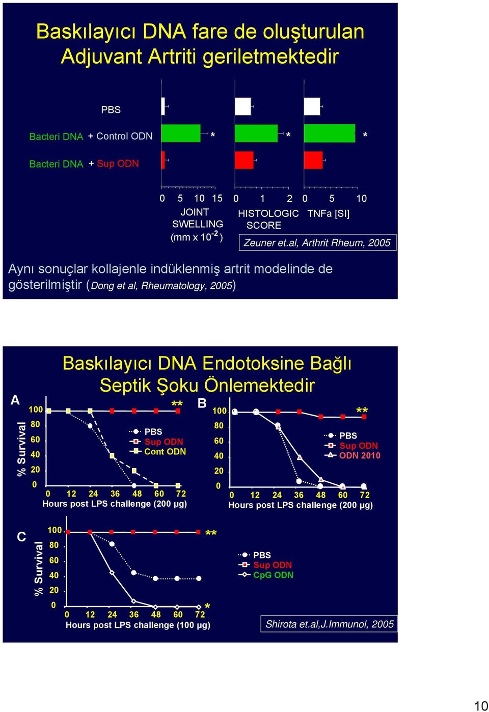 al, Arthrit Rheum, 2005 Aynı sonuçlar kollajenle indüklenmiş artrit modelinde de gösterilmiştir (Dong et al, Rheumatology, 2005) A % Survival 100 80 60 40 20 Baskılayıcı DNA Endotoksine