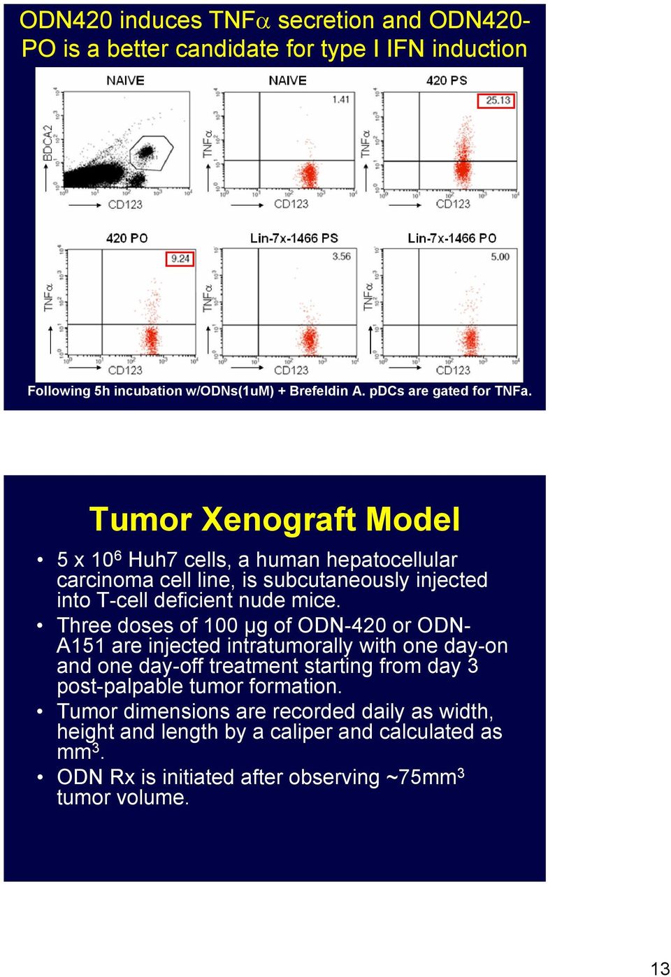 Tumor Xenograft Model 5 x 10 6 Huh7 cells, a human hepatocellular carcinoma cell line, is subcutaneously injected into T-cell deficient nude mice.