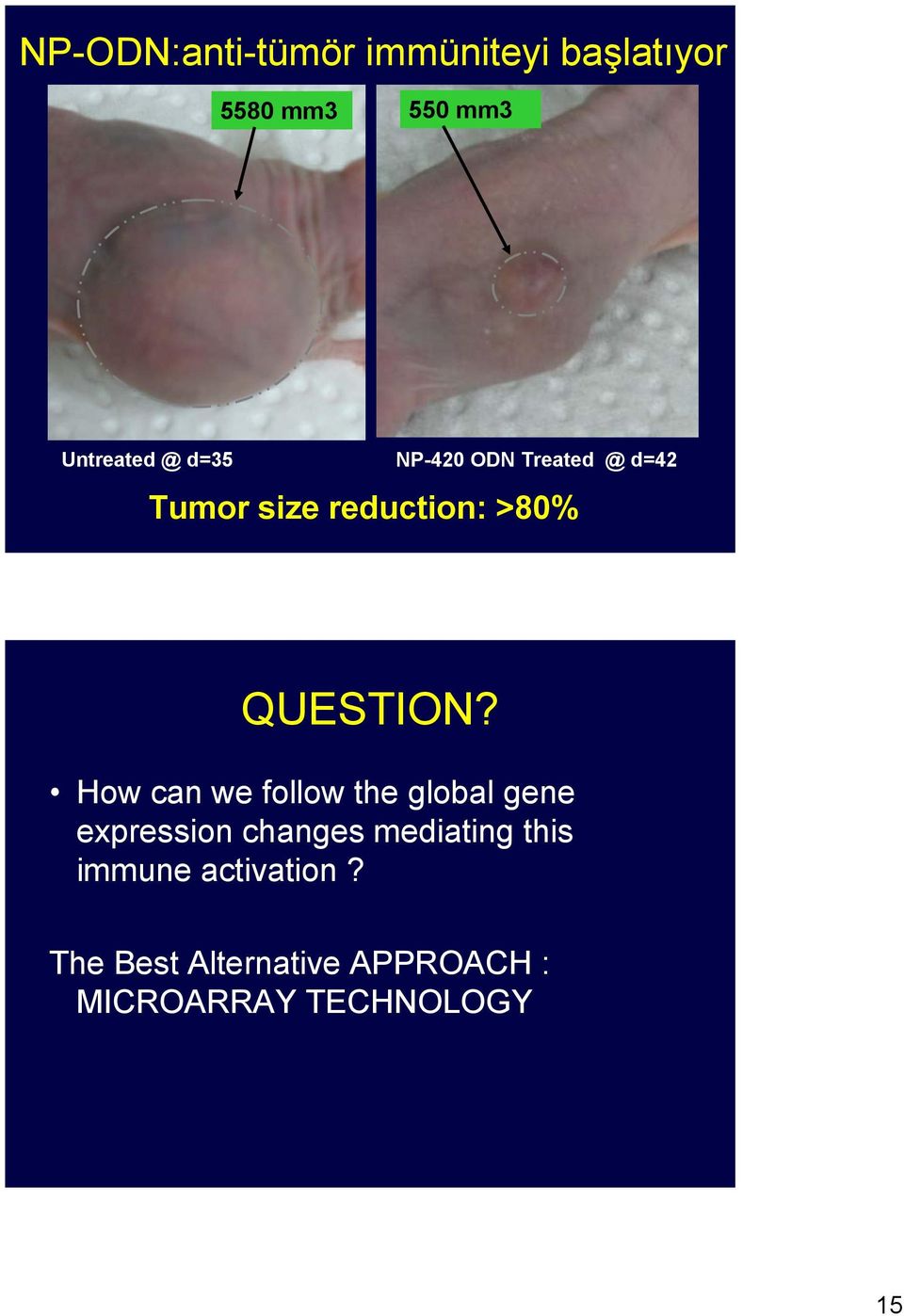 How can we follow the global gene expression changes mediating this