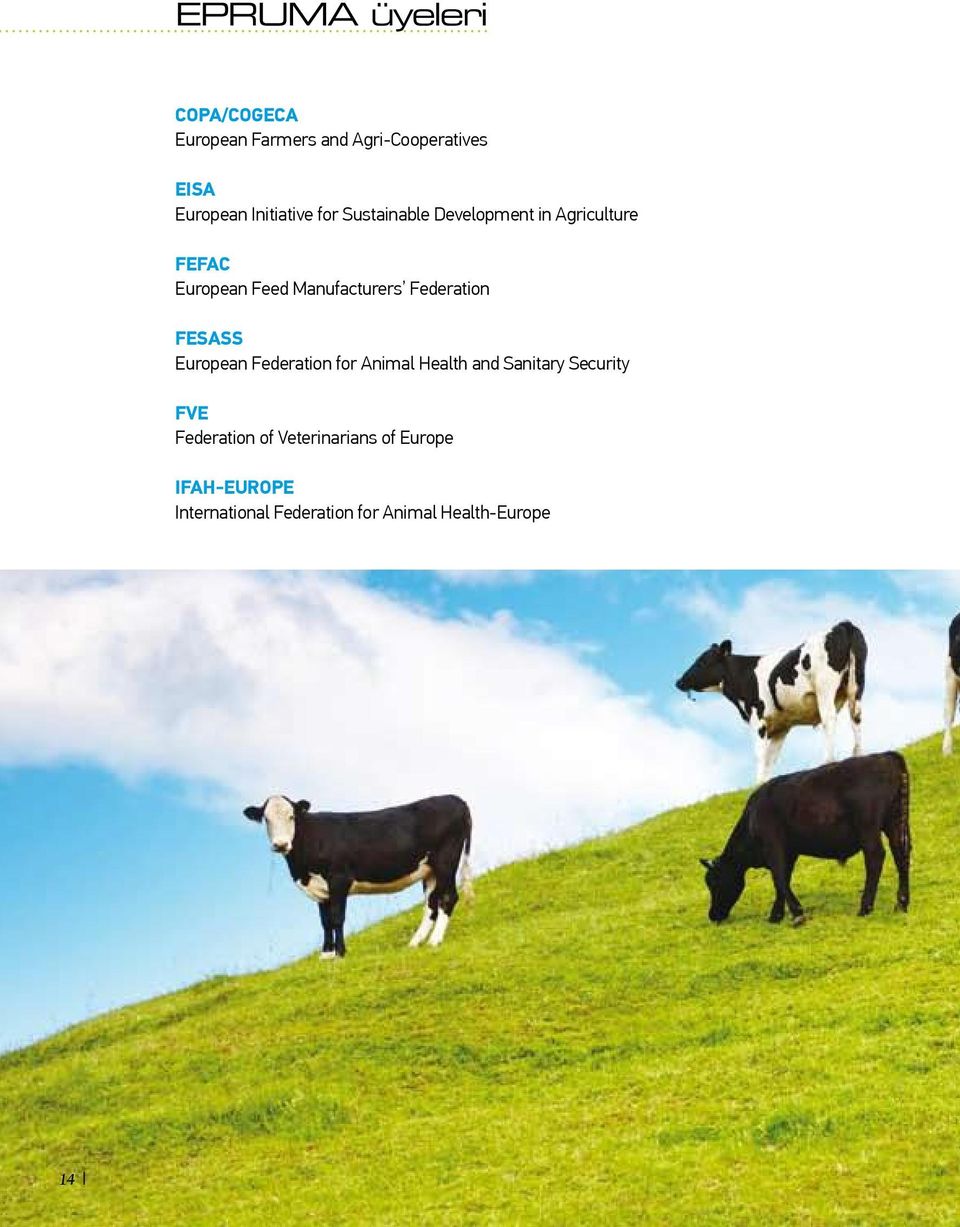 Federation FESASS European Federation for Animal Health and Sanitary Security FVE