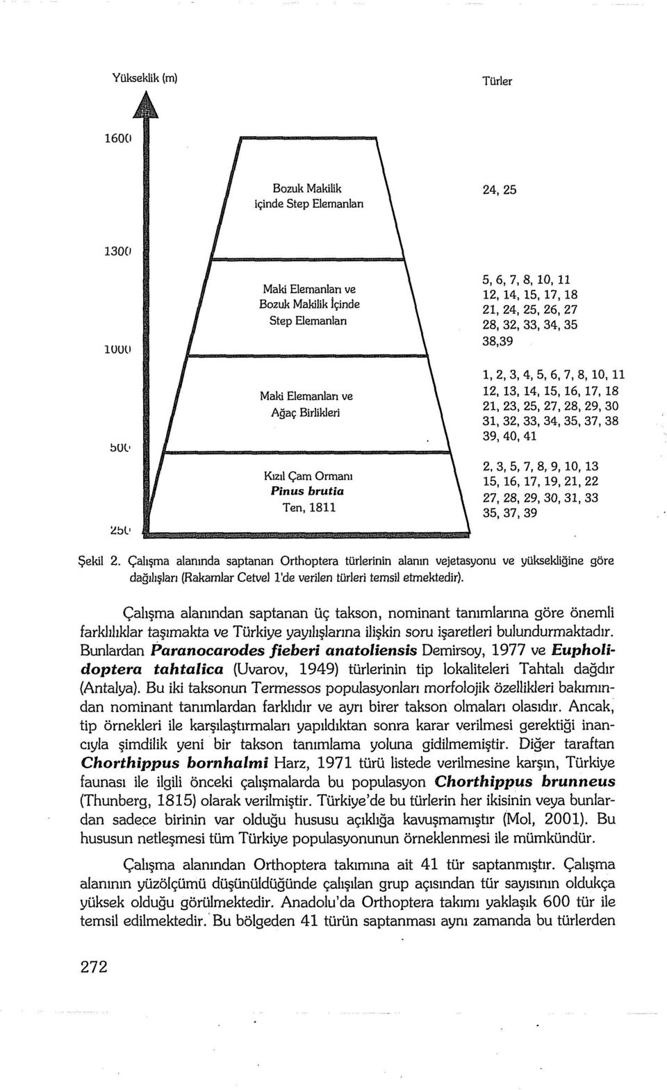 18 Agac;: Birlikleri 21,23,25,27,28,29,30 31,32,33,34,35,37,38 39,40,41 Klzl! GamOrman! Pinus brutia Ten, 1811 2.3,5,7,8,9,10,13 15,16,17,19,21,22 27,28,29,30,31,33 35,37,39 $ekil 2.