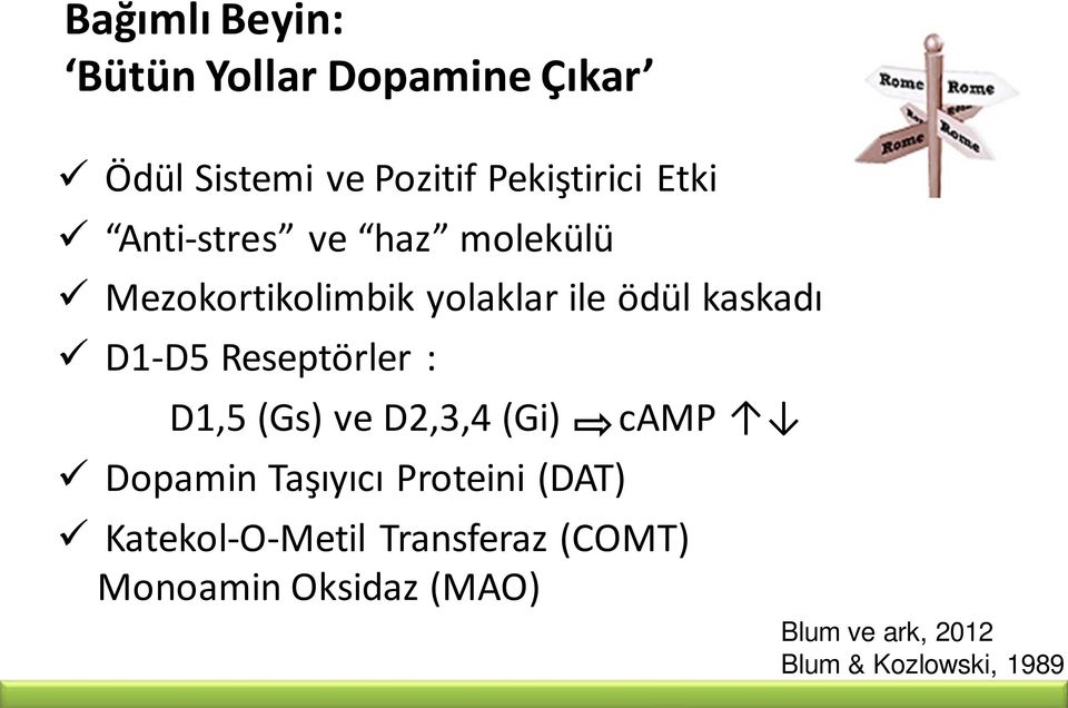 Reseptörler : D1,5 (Gs) ve D2,3,4 (Gi) camp Dopamin Taşıyıcı Proteini (DAT)