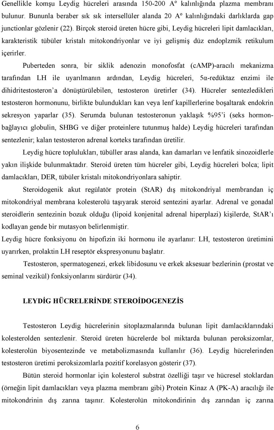 Puberteden sonra, bir siklik adenozin monofosfat (camp)-aracılı mekanizma tarafından LH ile uyarılmanın ardından, Leydig hücreleri, 5α-redüktaz enzimi ile dihidritestosteron a dönüştürülebilen,