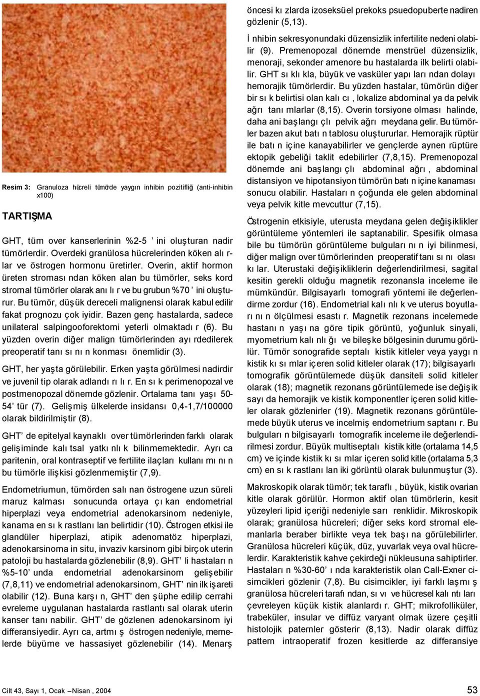 Overdeki granülosa hücrelerinden köken al r- lar ve östrogen hormonu üretirler.