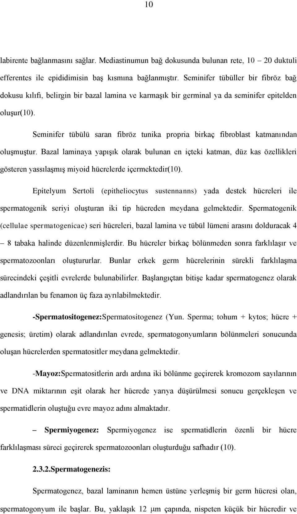 Seminifer tübülü saran fibröz tunika propria birkaç fibroblast katmanından oluşmuştur.