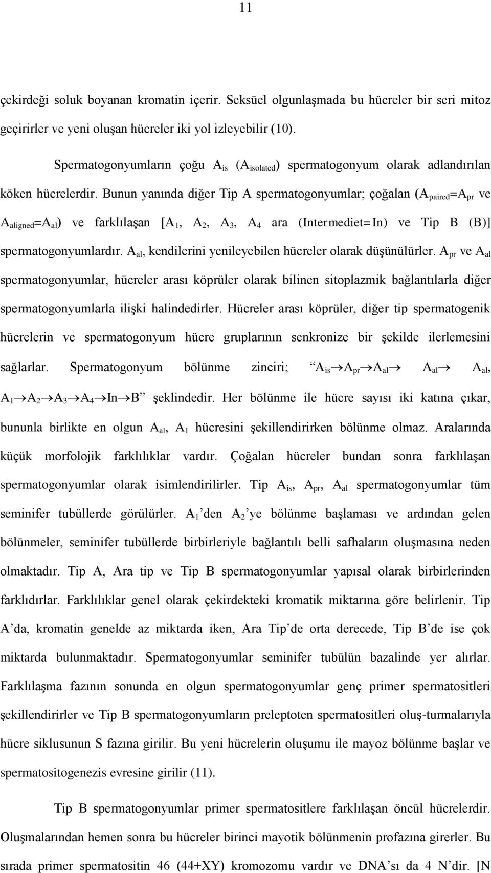 Bunun yanında diğer Tip A spermatogonyumlar; çoğalan (A paired =A pr ve A aligned =A al ) ve farklılaşan [A 1, A 2, A 3, A 4 ara (Intermediet=In) ve Tip B (B)] spermatogonyumlardır.