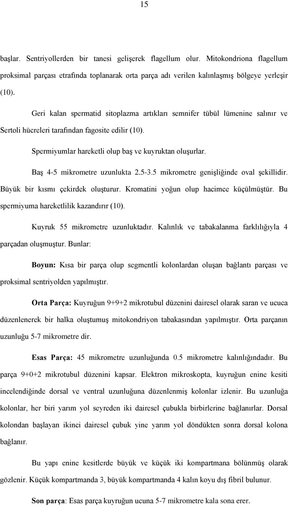 Baş 4-5 mikrometre uzunlukta 2.5-3.5 mikrometre genişliğinde oval şekillidir. Büyük bir kısmı çekirdek oluşturur. Kromatini yoğun olup hacimce küçülmüştür. Bu spermiyuma hareketlilik kazandırır (10).