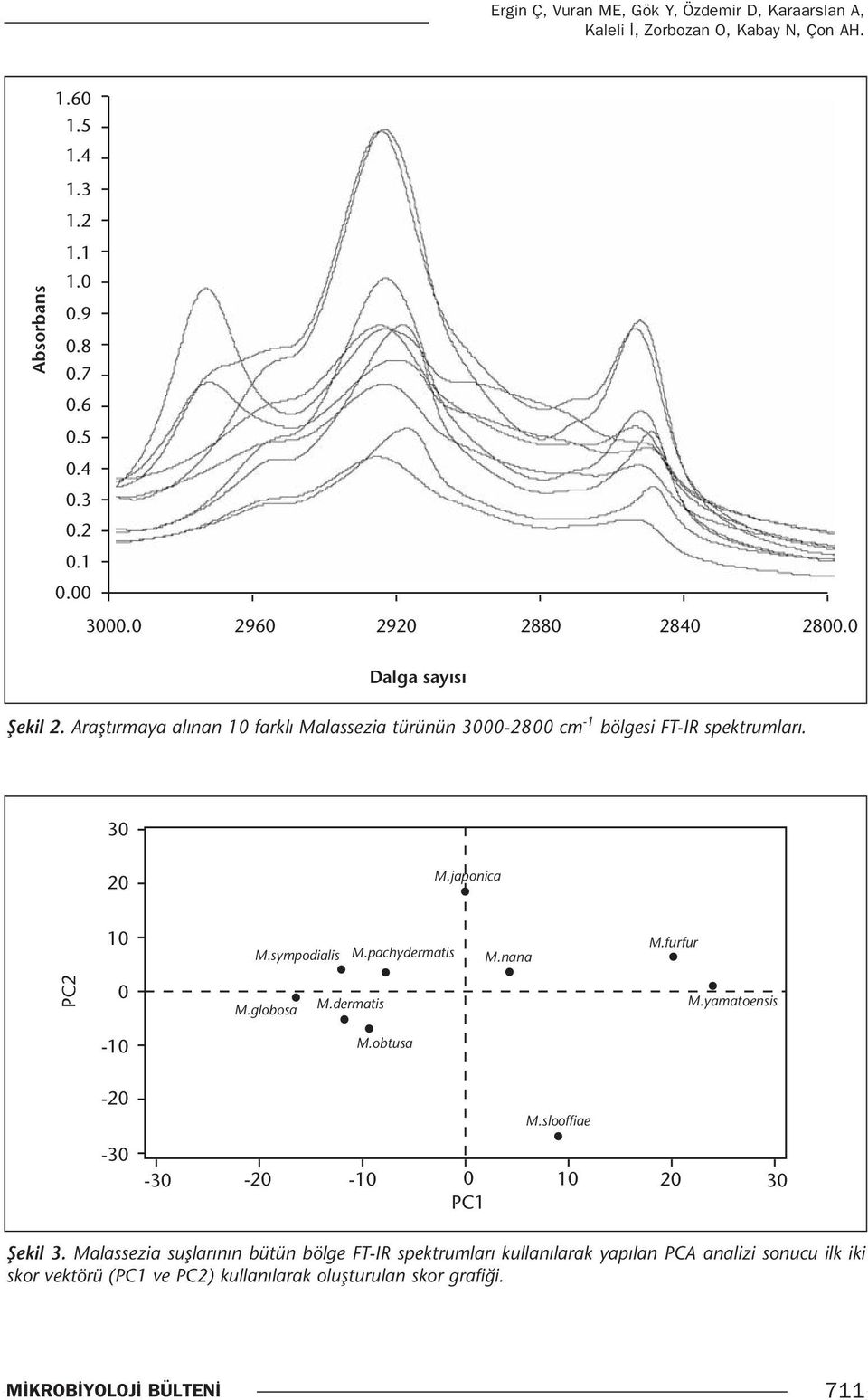 japonica 10 M.sympodialis M.pachydermatis M.nana M.furfur PC2 0 M.globosa M.dermatis M.yamatoensis -10 M.obtusa -20-30 M.slooffiae -30-20 -10 0 10 20 30 PC1 Şekil 3.