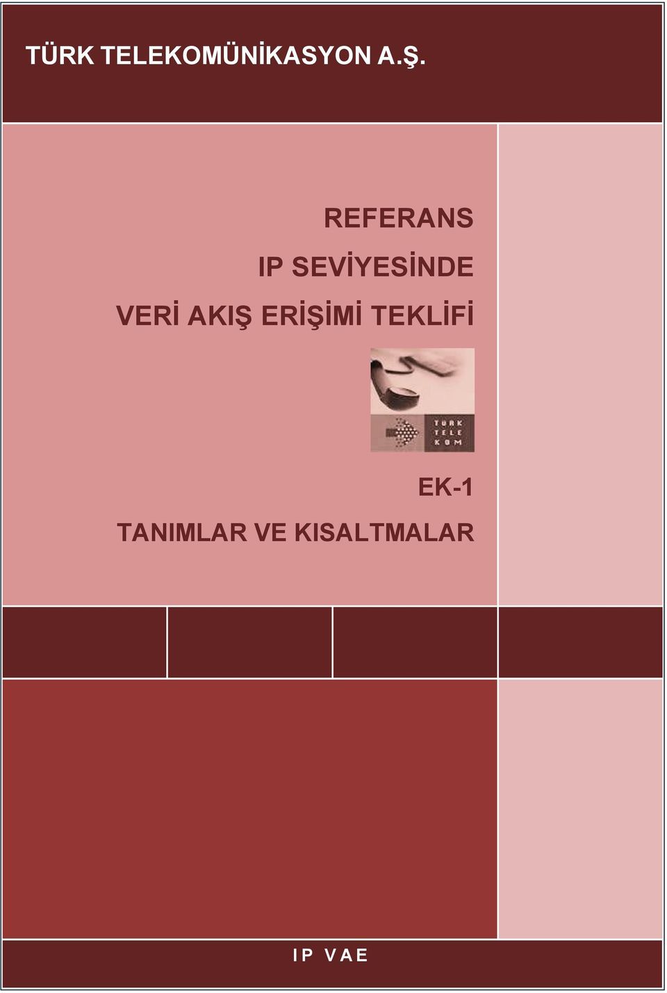 TEKLİFİ EK-1 TANIMLAR VE KISALTMALAR I P V A E