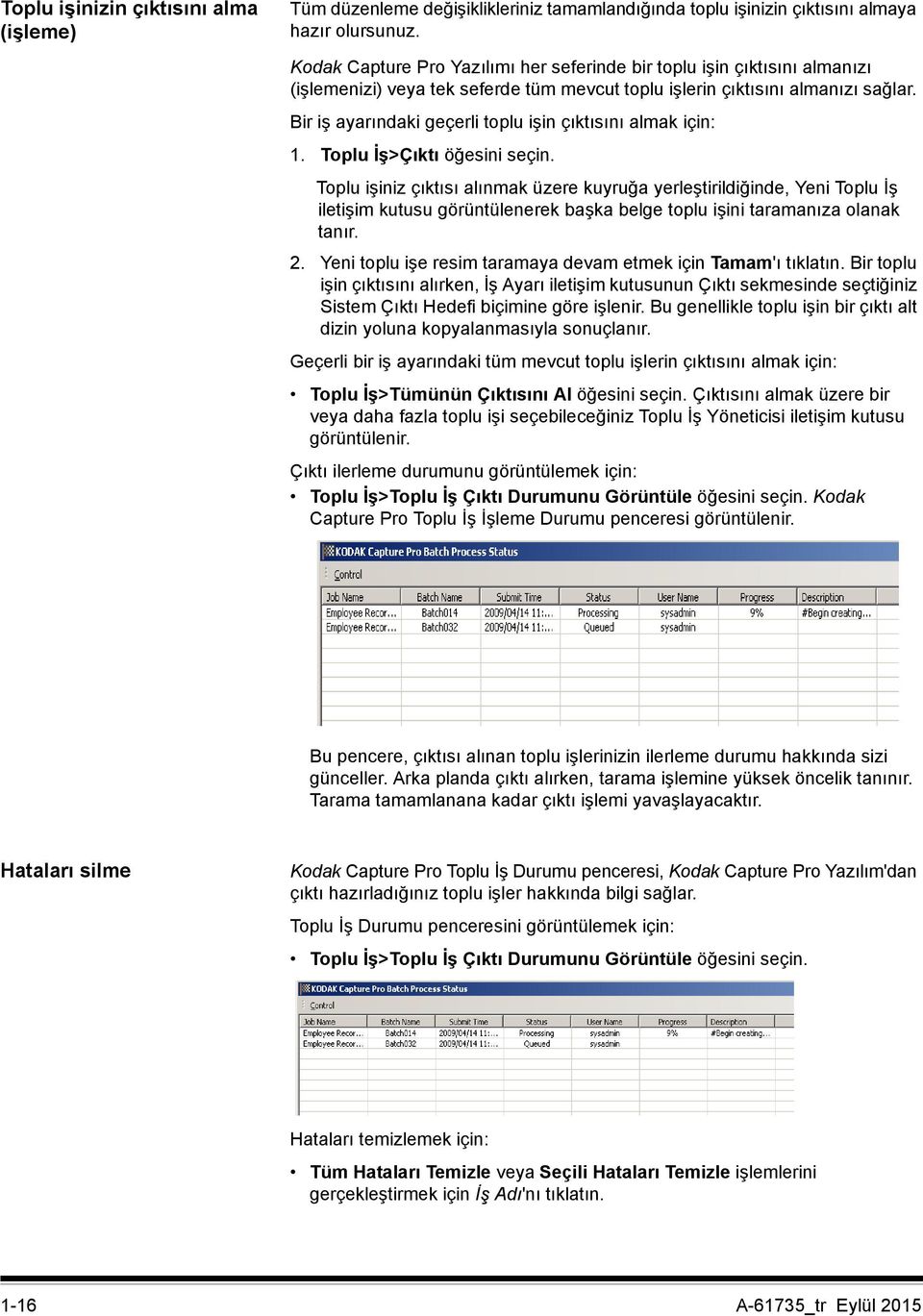 Bir iş ayarındaki geçerli toplu işin çıktısını almak için: 1. Toplu İş>Çıktı öğesini seçin.