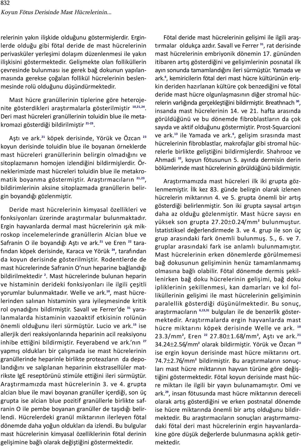 Gelişmekte olan folliküllerin çevresinde bulunması ise gerek bağ dokunun yapılanmasında gerekse çoğalan follikül hücrelerinin beslenmesinde rolü olduğunu düşündürmektedir.